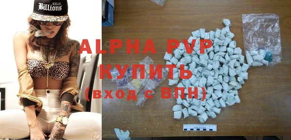 PSILOCYBIN Ростов