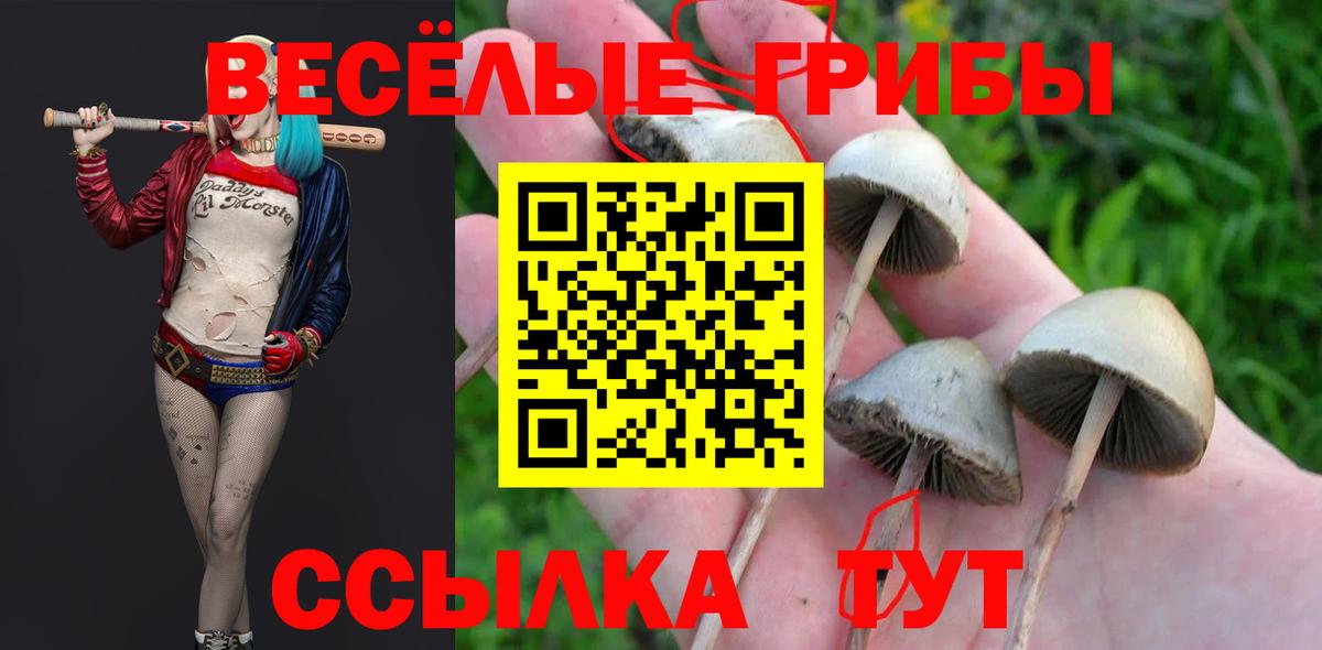 Заинск  Псилоцибиновые грибы мухоморы  Вход с VPN 